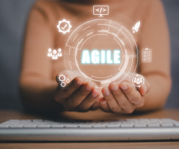 agiles management