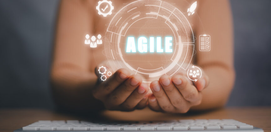 agiles management